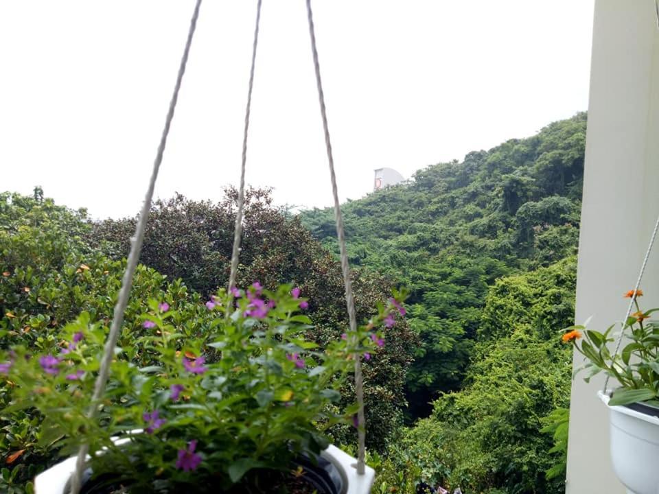 Lam Son Hotel & Apartments ブンタオ エクステリア 写真