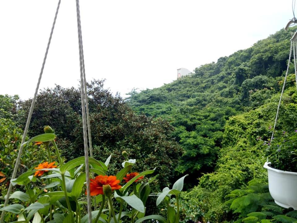 Lam Son Hotel & Apartments ブンタオ エクステリア 写真